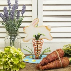Easter Springy Carrot with Rabbit!